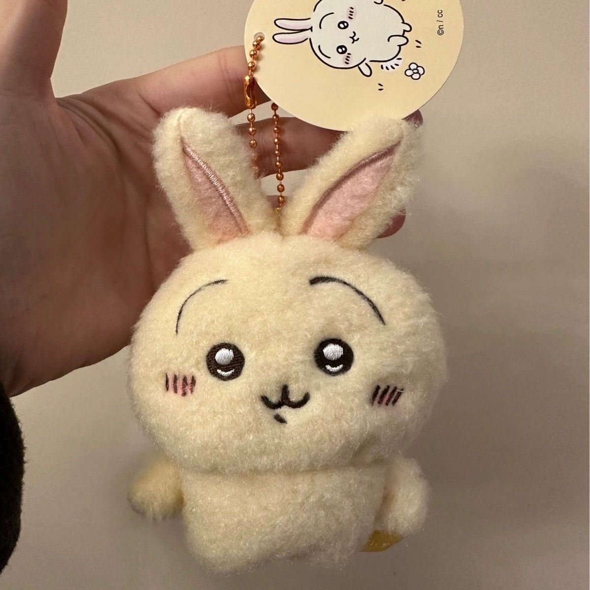 دمية كرتونية محشوة من جييي، دم - مراجعة Anime Merchandise Bag وسعره