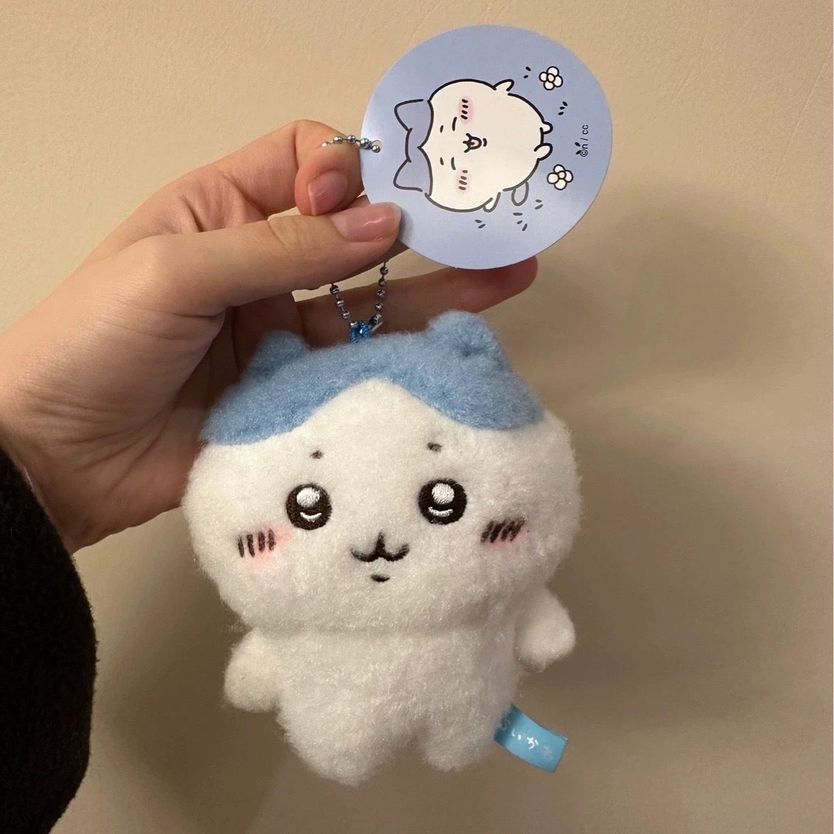 دمية كرتونية محشوة من جييي، دم - مراجعة Anime Merchandise Bag وسعره